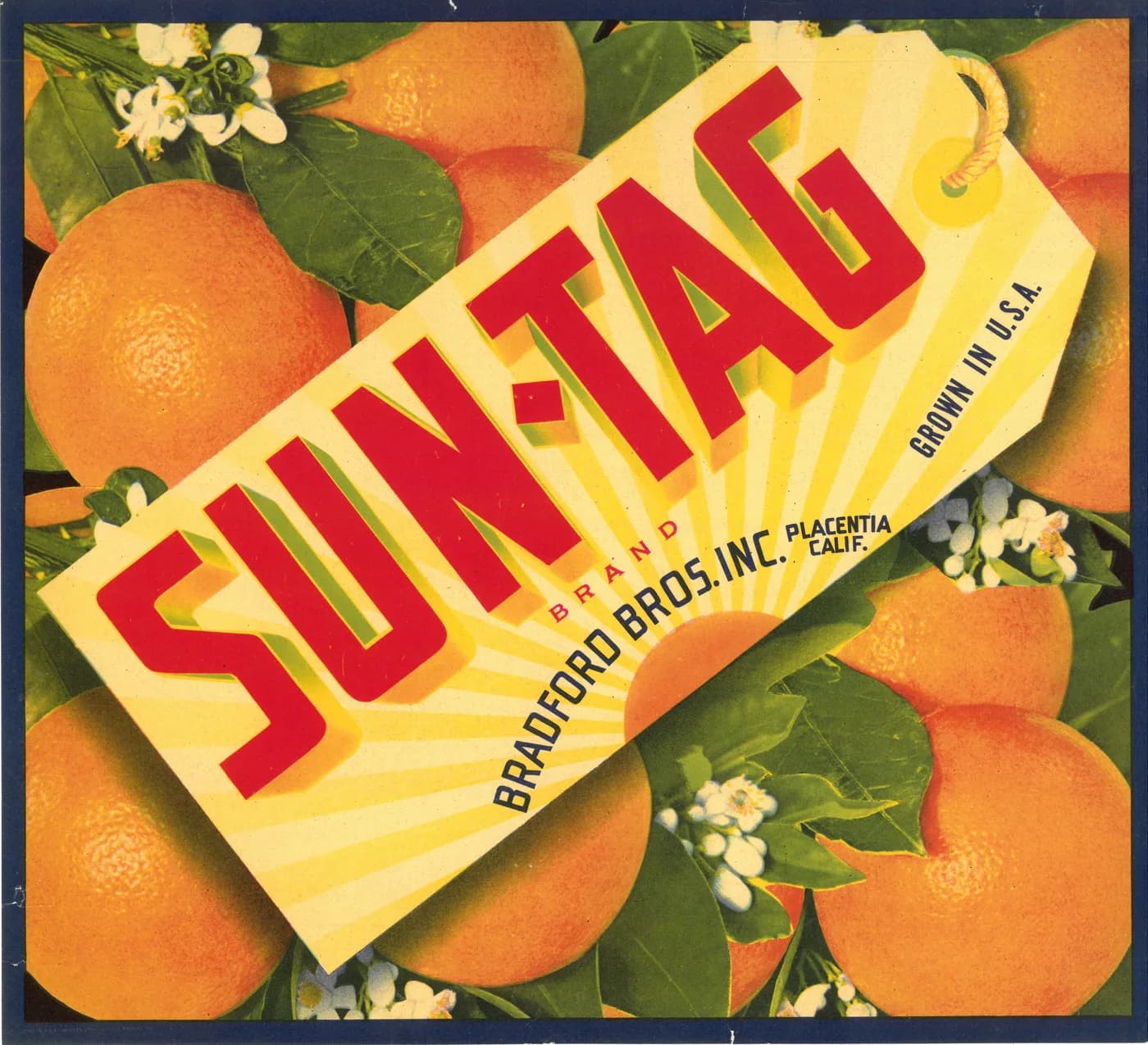 Sun-Tag, citrus crate label, oranges, Placentia, Calif., 1920-1930