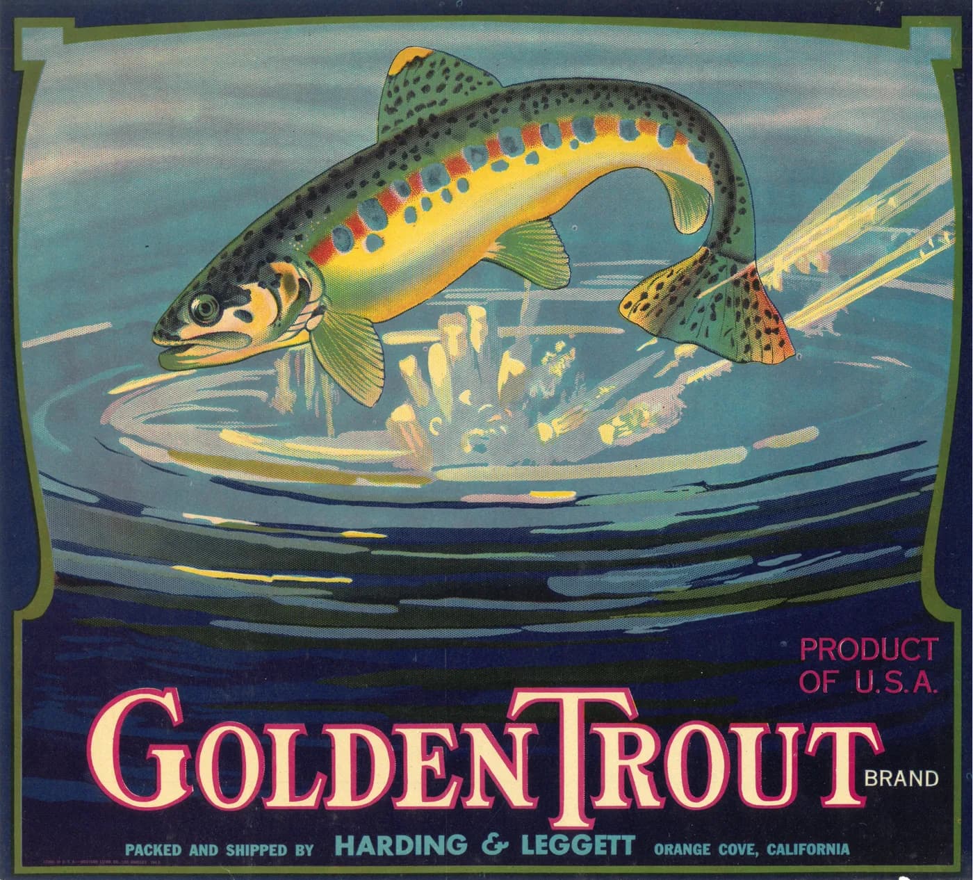 Golden Trout, citrus crate label, navel orange, Orange Cove, California, 1920-1930