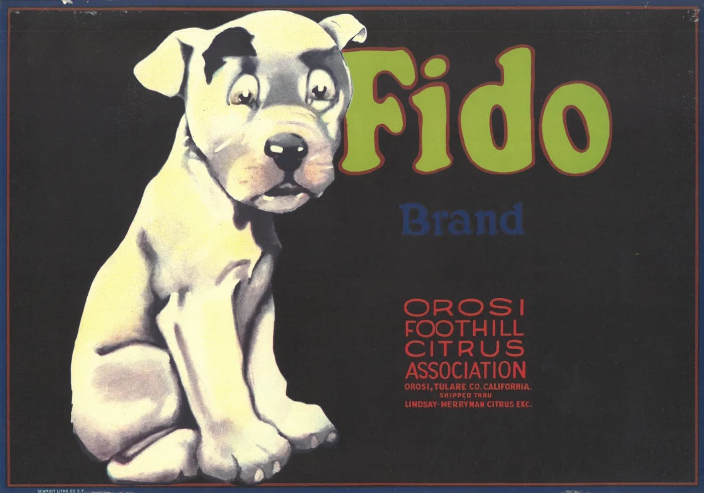 Fido, citrus crate label, Orosi, Tulare Co. California, 1890-1900