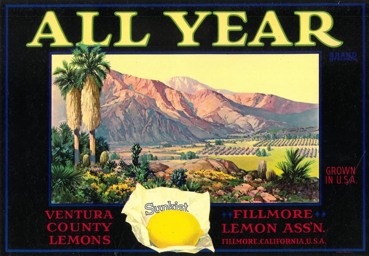 All Year, citrus crate label, lemons, Ventura County, 1890-1900
