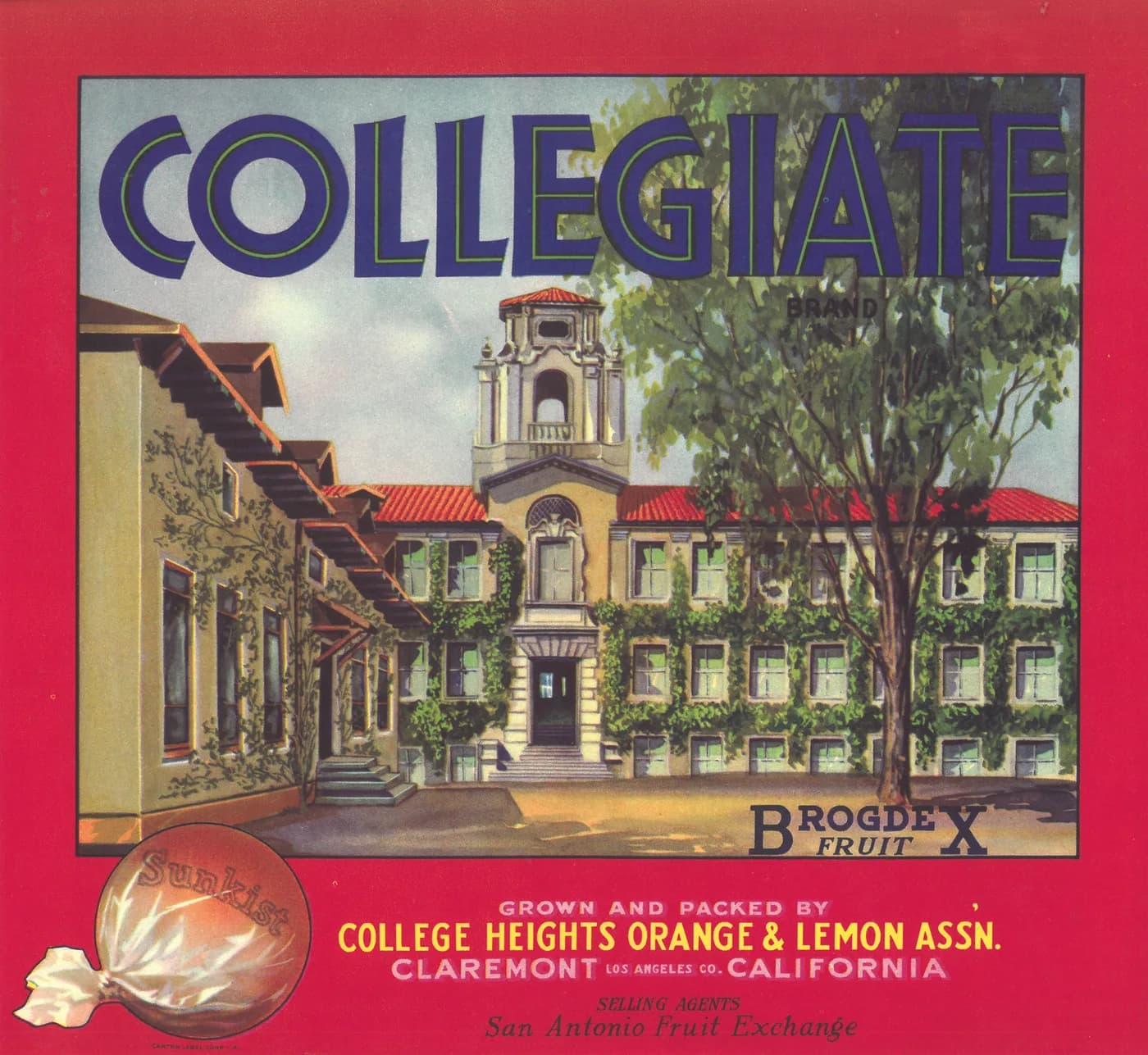 Collegiate, citrus crate label, lemon, Claremont, Los Angeles Co., California, 1930-1940