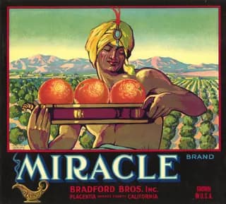 Miracle, citrus crate label, oranges, Placentia, Orange County, California, 1900-1910
