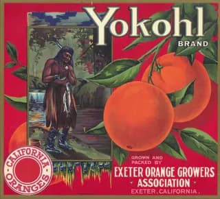 Yokohl, citrus crate label, oranges, Exeter, California, 1931
