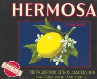 Hermosa, citrus crate label, lemons, Fallbrook, Calif. - San Diego Co., 1900-1910