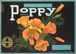 Poppy, citrus crate label, navel orange, Los Angeles (Calif.), 1932