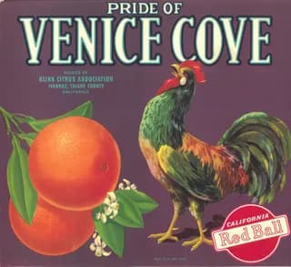 Pride of Venice Cove, citrus crate label, navel orange, Ivanhoe, Tulare County, California, 1929