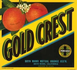 Gold Crest, citrus crate label, orange, Bryn Mawr, California, 1920-1930