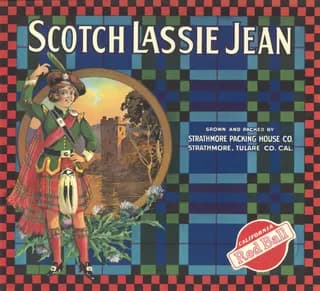 Scotch Lassie Jean, citrus crate label, Strathmore, Tulare Co. Cal., 1920-1930