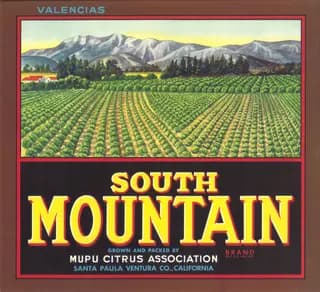 South Mountain, citrus crate label, valencias, Santa Paula Ventura Co., California, 1944