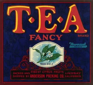 T.E.A, citrus crate label, fancy, Lindsay, California, 1945
