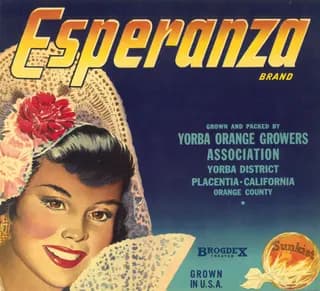 Esperanza, citrus crate label, orange, Yorba District, Placentia, California, Orange County, 1910-1920