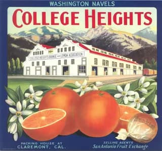 College Heights, citrus crate label, washington navels, Claremont, Cal., 1950-1960