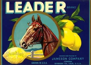Leader, citrus crate label, lemon, Corona, Riverside Co., Calif., U.S.A., 1920-1930