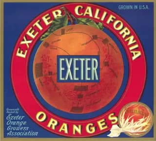 Exeter, citrus crate label, oranges, Exeter, California, 1890-1900