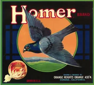 Homer, citrus crate label, sunkist, Corona, California