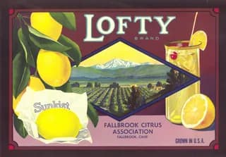 Lofty, citrus crate label, lemon, Fallbrook, Calif., 1930-1940