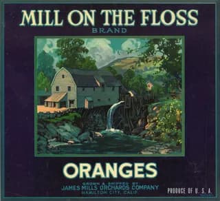 Mill on the Floss, citrus crate label, oranges, Hamilton City, Calif., 1926