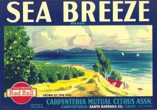 Sea Breeze, citrus crate label, lemon, Carpinteria, Santa Barbara Co., Calif., 1915