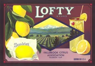 Lofty, citrus crate label, lemon, Fallbrook, Calif., 1920-1930