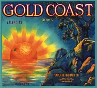 Gold Coast, citrus crate label, valencias, Fullerton, Orange County, California, 1930