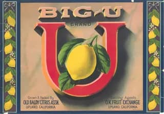 Big-U, citrus crate label, lemon, Upland, California, 1941