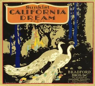 California Dream, citrus crate label, sunkist, Placentia, Orange County, California, 1890-1900