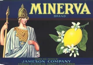 Minerva, citrus crate label, lemon, Corona-Riverside County-California, ©1926