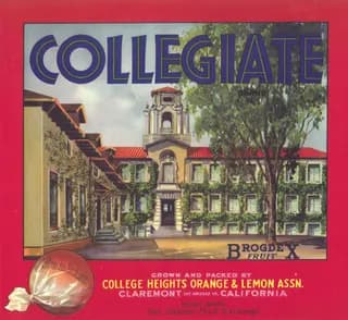Collegiate, citrus crate label, orange & lemon, Claremont, Los Angeles Co., California, approximately 1907