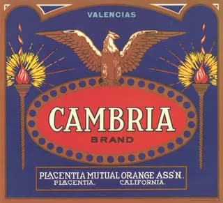 Cambria, citrus crate label, valencias, Placentia, California, 1890-1900