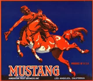 Mustang, citrus crate label, Los Angeles, California, 1890-1900
