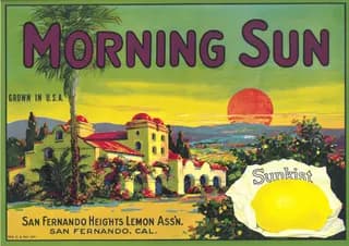 Morning Sun, citrus crate label, lemon, San Fernando, Cal., 1890-1900