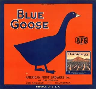 Blue Goose, citrus crate label, Los Angeles, California, 1890-1900