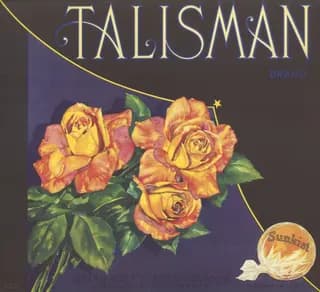 Talisman, citrus crate label, navel orange, Redlands, California, 1900-1910