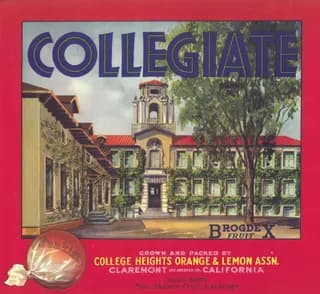 Collegiate, citrus crate label, lemon, Claremont, Los Angeles Co., California, 1930-1940