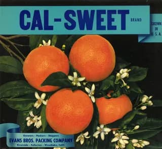 Cal-Sweet, citrus crate label, oranges, U.S.A., 1920-1930