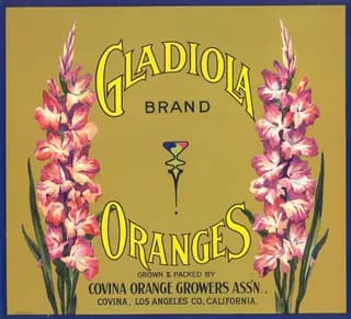 Gladiola, citrus crate label, oranges, Covina, Los Angeles Co., California, 1890-1900