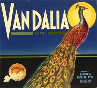 Vandalia, citrus crate label, sunkist, Porterville, California, 1890-1900