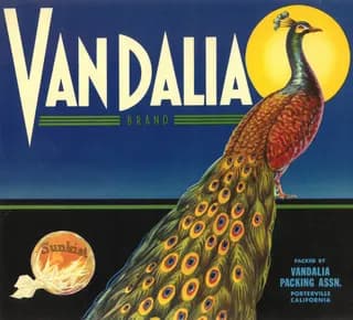 Vandalia, citrus crate label, sunkist, Porterville, California, 1928