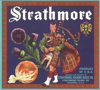 Strathmore, citrus crate label, sunkist, Strathmore-Tulare Co., California, U.S.A., 1920-1930