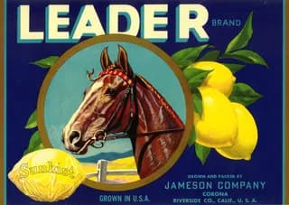 Leader, citrus crate label, lemon, Corona, Riverside Co., Calif., U.S.A., 1890-1900