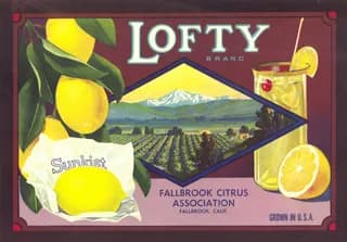 Lofty, citrus crate label, lemon, Fallbrook, Calif., 1900-1910