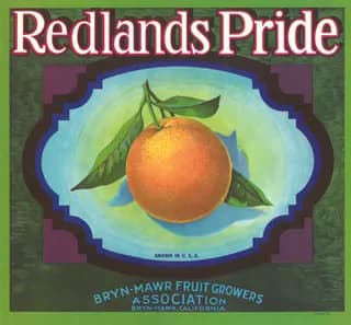 Redlands Pride, citrus crate label, orange, Bryn-Mawr, California, ©1911
