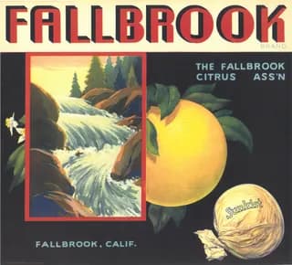 Fallbrook, citrus crate label, grapefruit, Fallbrook, Calif., 1890-1900