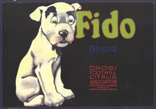 Fido, citrus crate label, Orosi, Tulare Co. California, 1890-1900