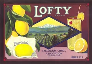 Lofty, citrus crate label, lemon, Fallbrook, Calif., 1920-1930