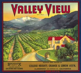 Valley View, citrus crate label, orange & lemon, Claremont, Los Angeles Co., California, ©1928