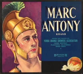 Marc Antony, citrus crate label, orange, Yorba District, Placentia, California, Orange County, 1910-1920