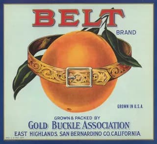 Belt, citrus crate label, East Highlands, San Bernardino Co. California, 1930-1940