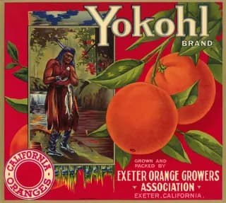 Yokohl, citrus crate label, oranges, Exeter, California, 1930-1940