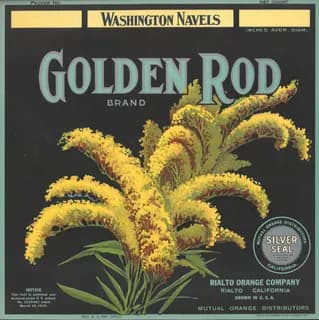 Golden Rod, citrus crate label, washington navels, Rialto, California, 1890-1900